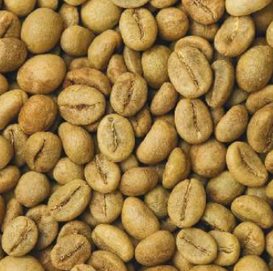 Robusta Green Coffee Beans S18 Clean Grade 1 - TBESTPRO TRADING INVESTMENT COMPANY LIMITED - Vietnam